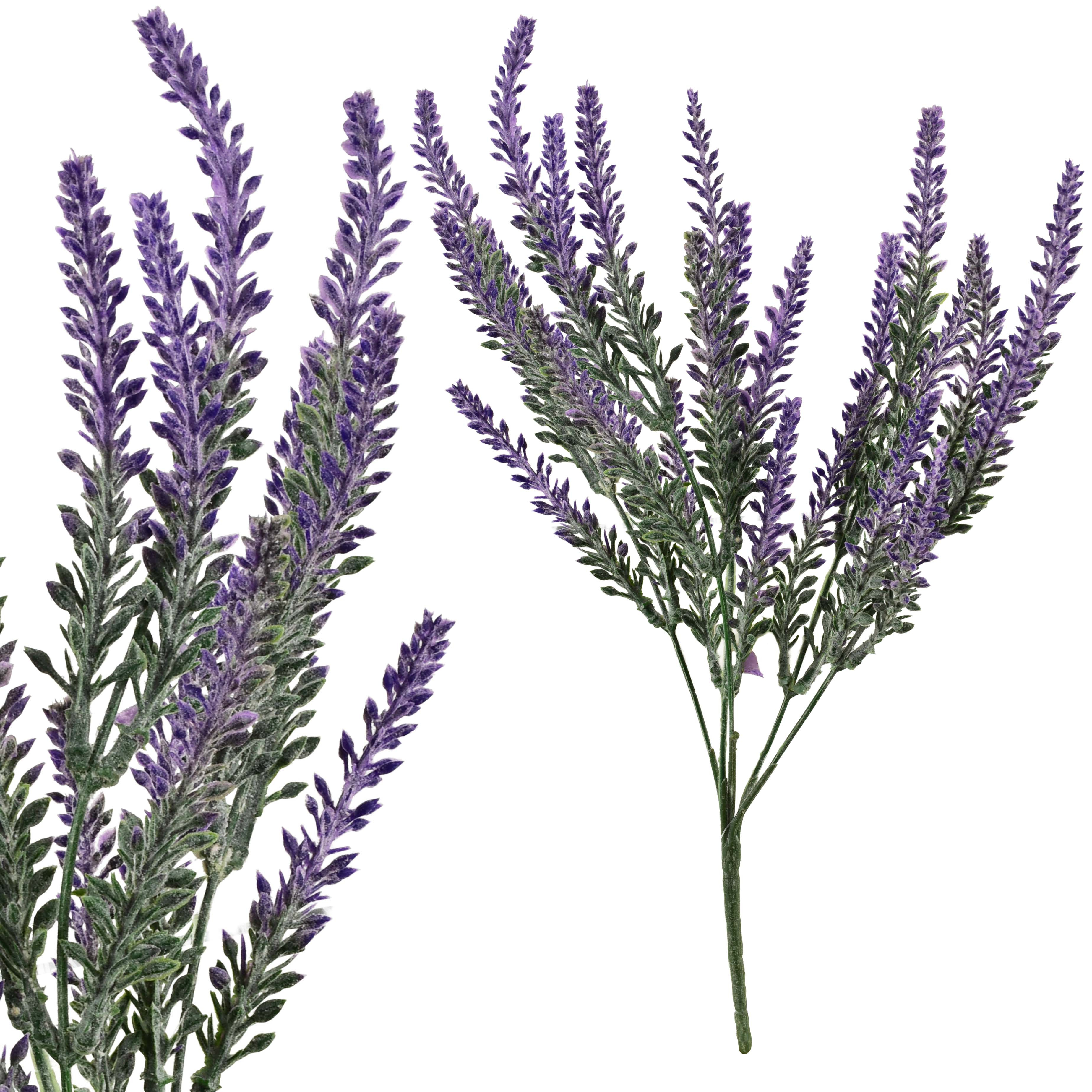 Laventelin oksakimppu Prima Mondex Viridis 36 cm violetti 1 kpl