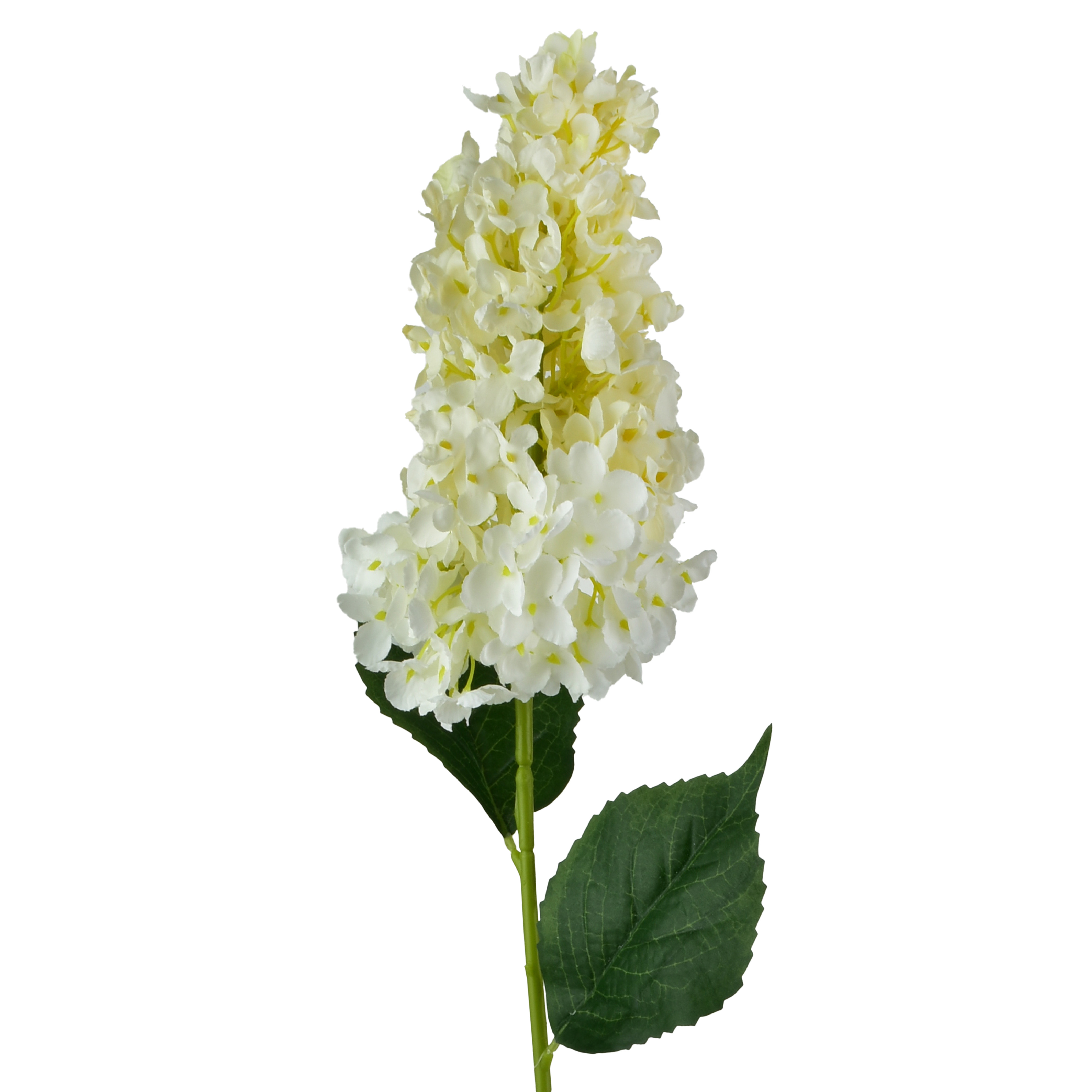 Hortensiaoksa muovi Mondex Viridis 80cm vihreä 1kpl