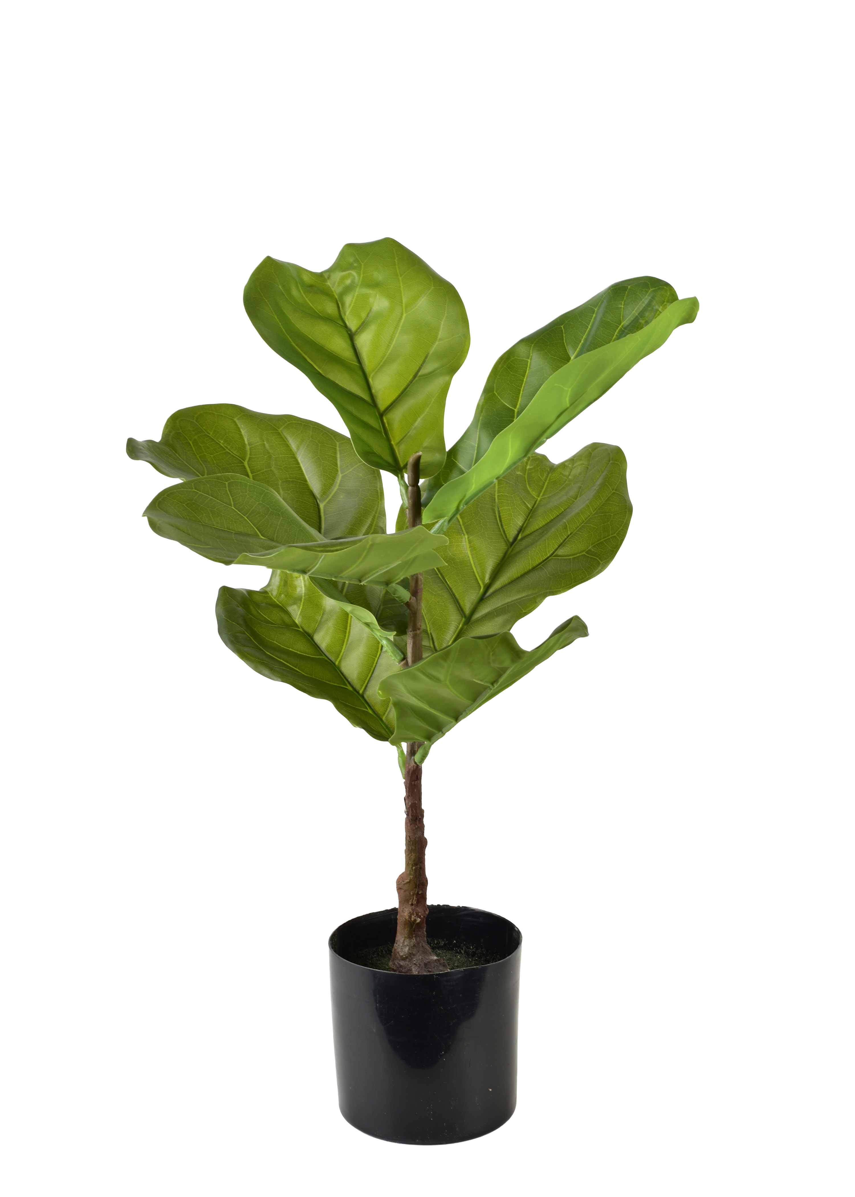 Tekokasvi muovi VIRIDIS Fikus 13x13x56 cm vihreä/musta 1 kpl
