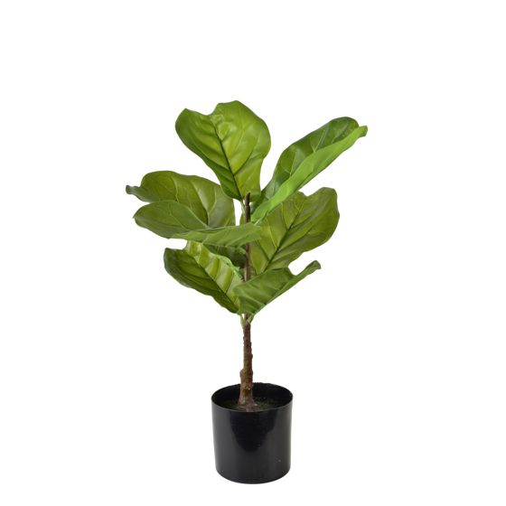 Tekokasvi muovi VIRIDIS Fikus 13x13x56 cm vihreä/musta 1 kpl