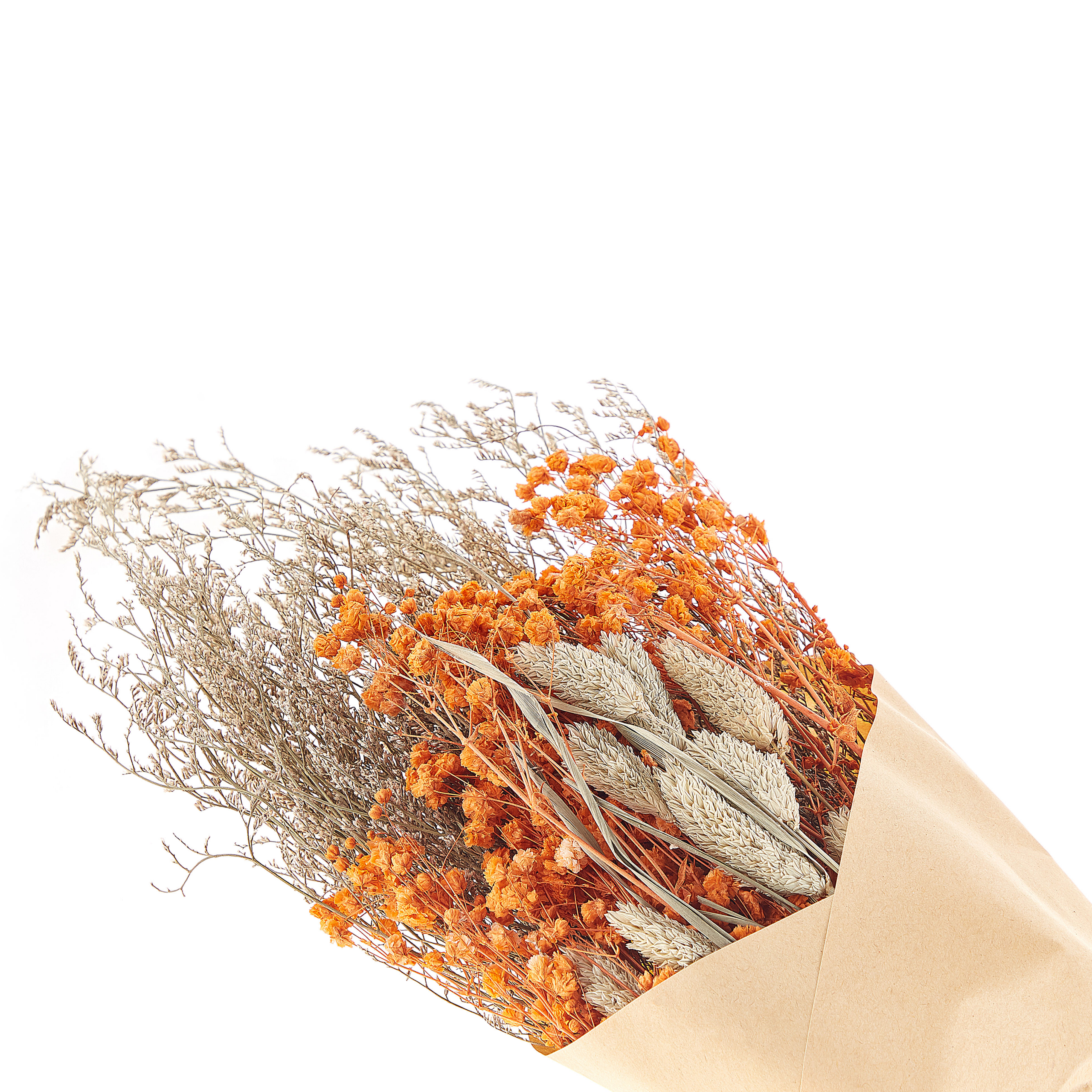 Kuivakukkakimppu CERCEDILLA 65 cm Oranssi