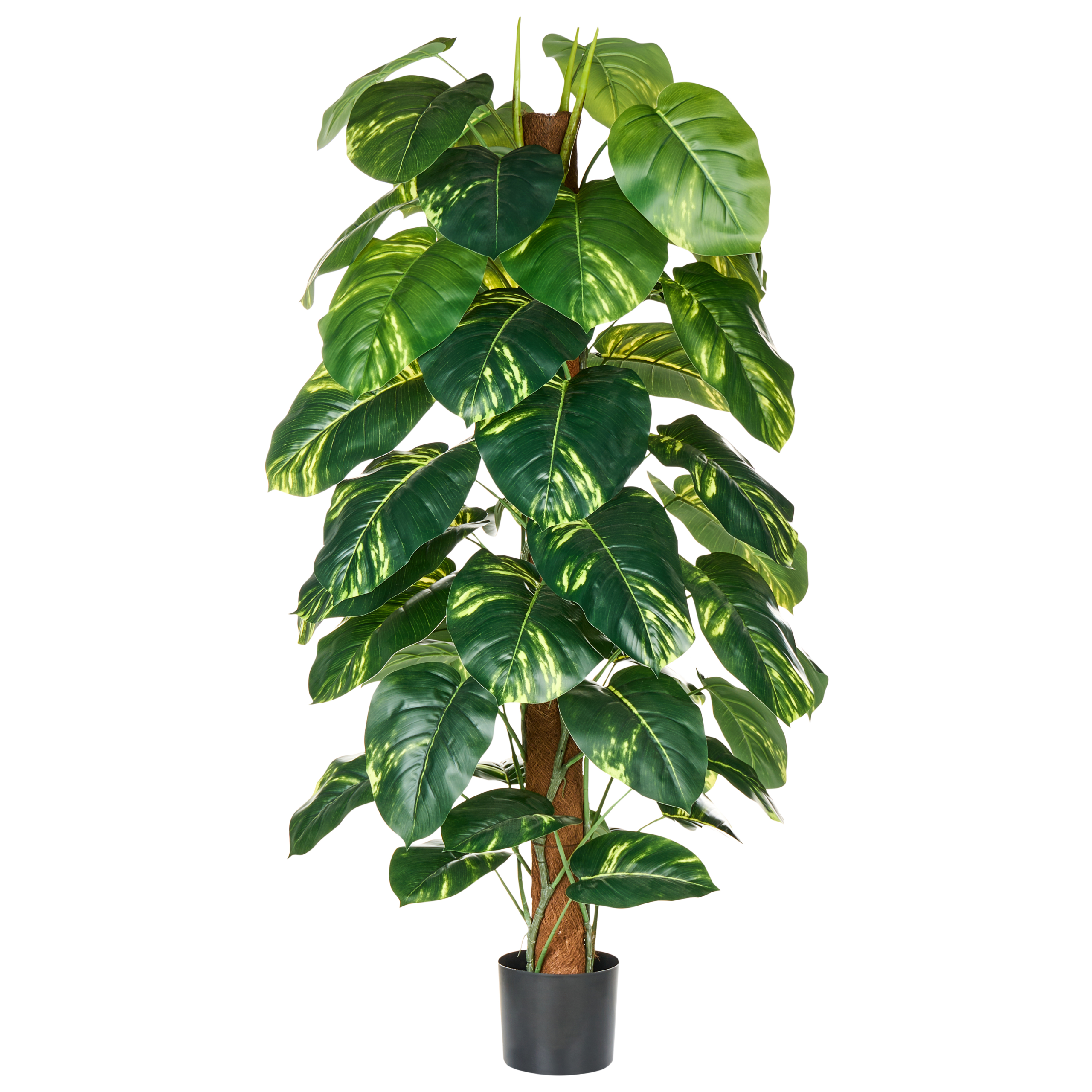 Tekokasvi DIEFFENBACHIA 152 cm Vihreä