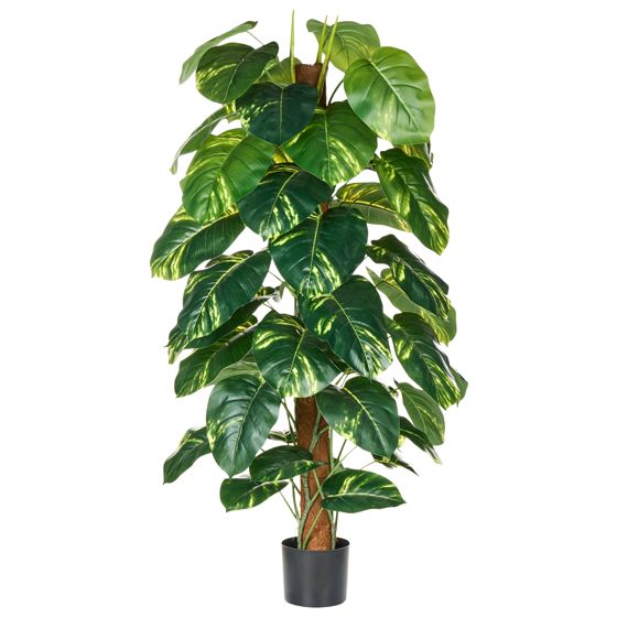 Tekokasvi DIEFFENBACHIA 152 cm Vihreä