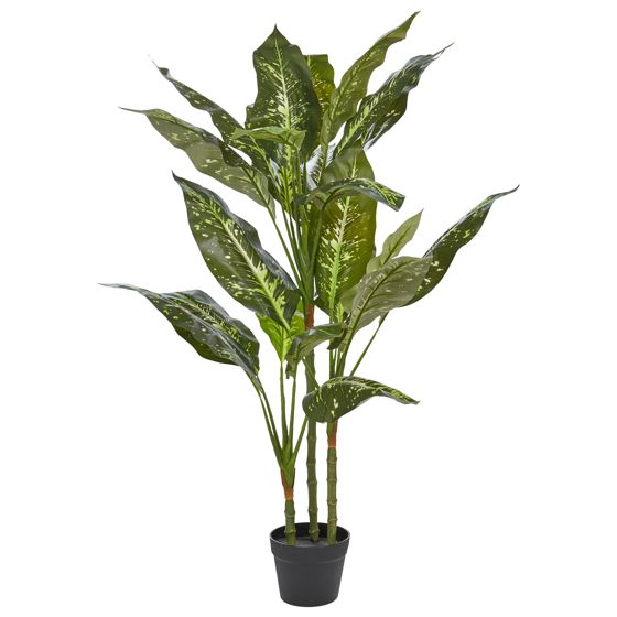 Tekokasvi DIEFFENBACHIA 110 cm Vihreä