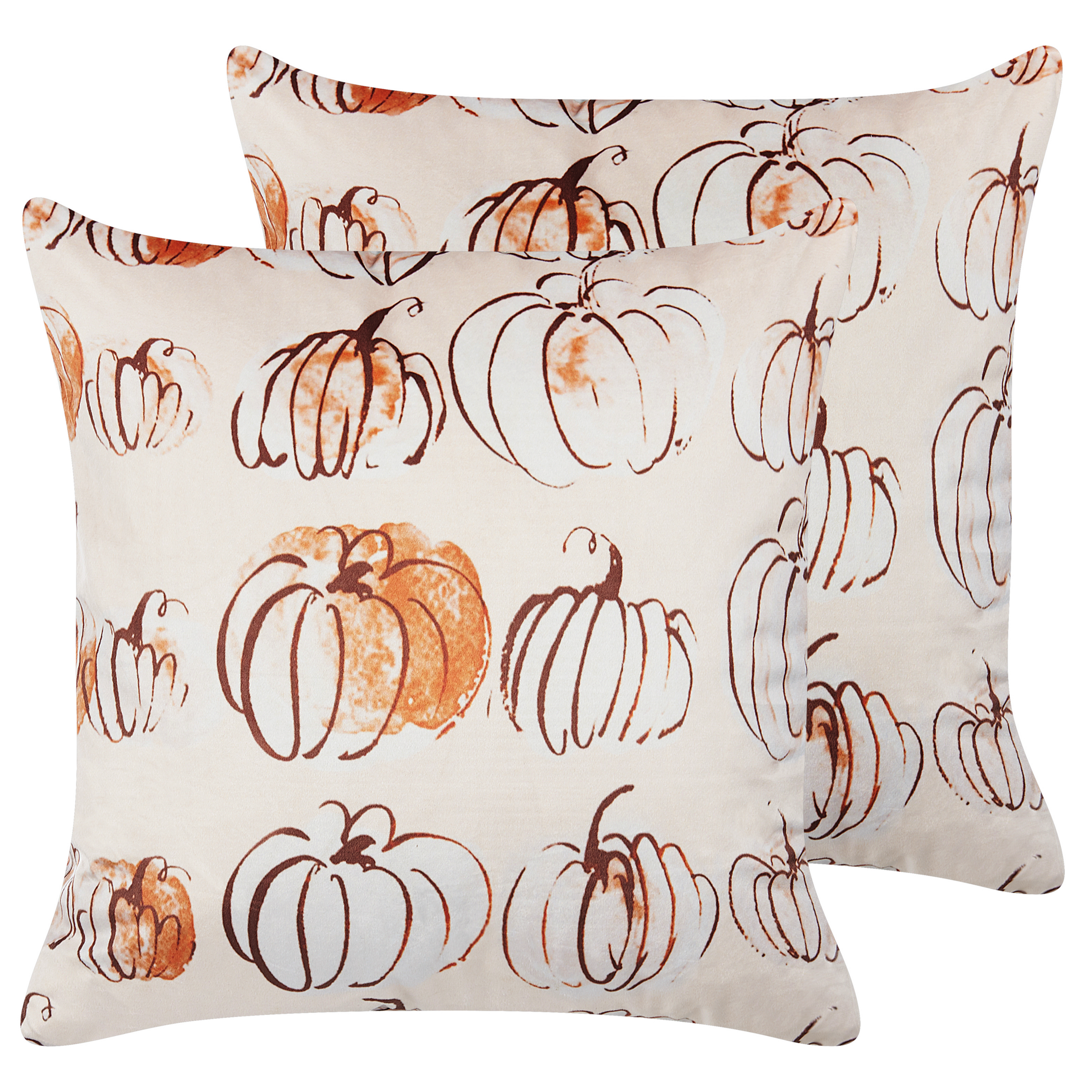 Koristetyynysetti 2 kpl CUCURBITA 45 x 45 cm Sametti Beige Kasvikuvio