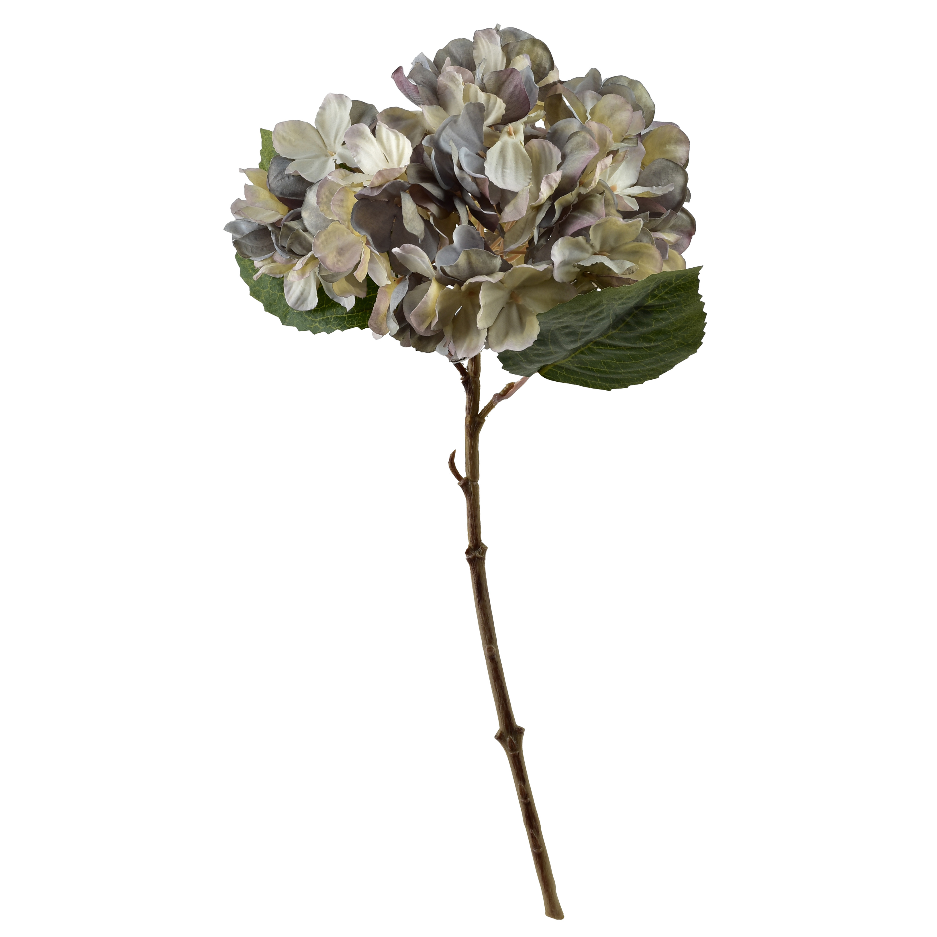 tekokukka Viridis Hortensia 35cm 1kpl