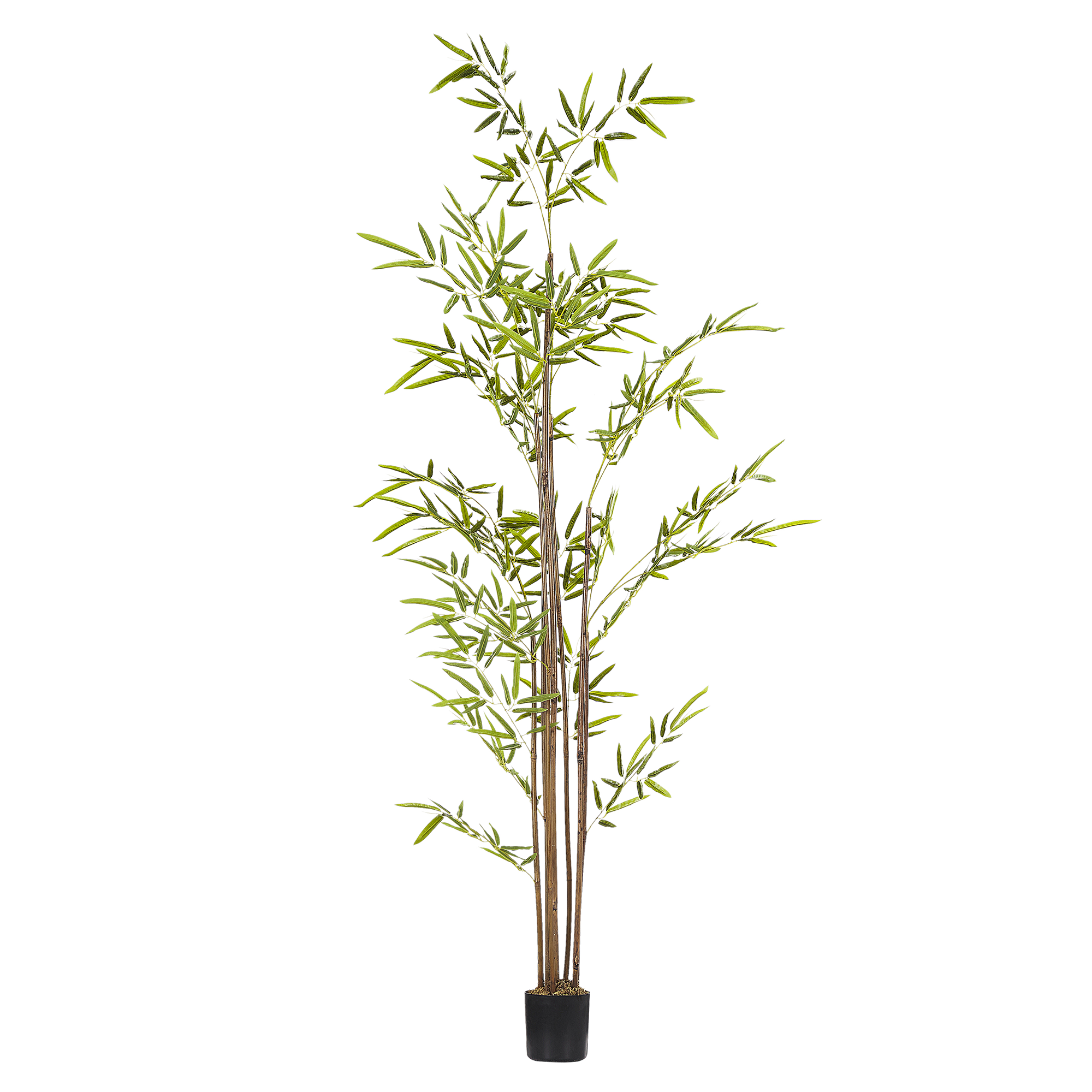 Tekokasvi BAMBUSA VULGARIS 160 cm Vihreä