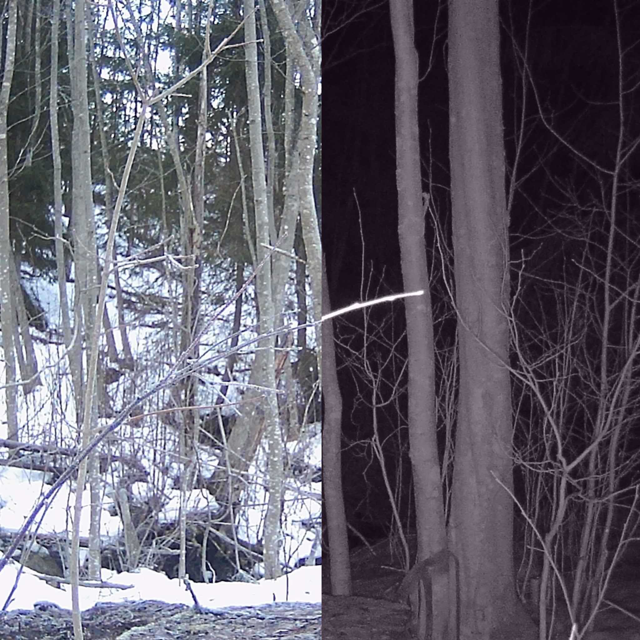 Riistakamera lähettävä 2G - Trekker